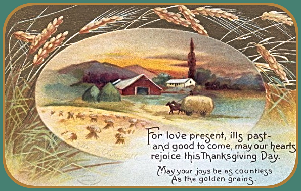 2025 11 26 thanksgiving harvest