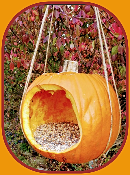 2024 10 02KCCB pumpkin birdfeeder