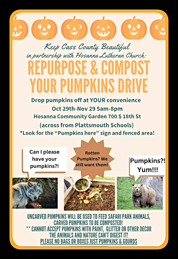 2024 10 02 KCCB recycle pumpkins