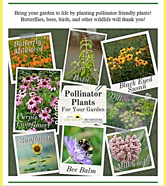 2025 05 14 KCCB pollinators
