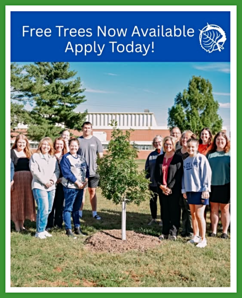 2025 07 09 NE Forestry free trees