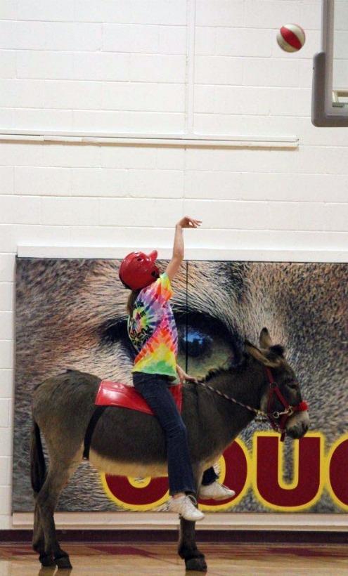 2011-03-18_Donkey_ball_Liz_Rice