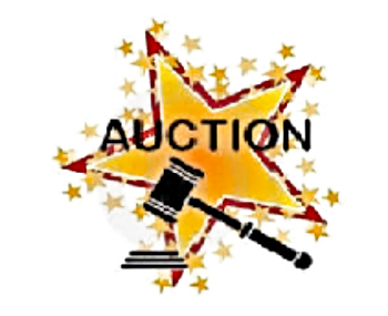 2020 02 19 Conestoga auction 1