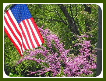 05-11-08 Shanes_flag