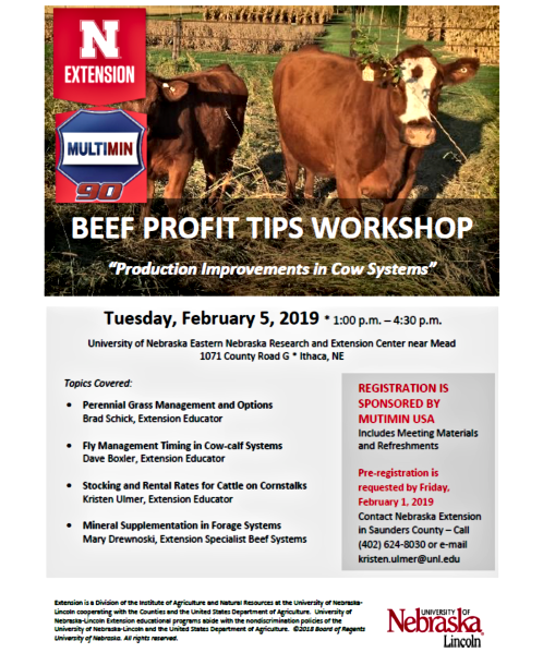 2019 01 30 NE EXT beef profits 1