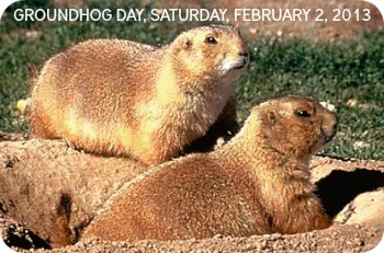 ground hogs