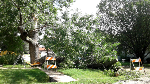 2017 06 17 MRY Storm damage 2