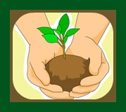 2013-06-12 hands_holding_seedling_plant