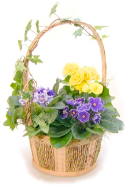 flower basket 1