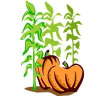 pumpkin__corn_stalks