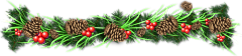 2019 12 04 evergreen bough 1
