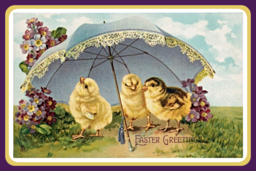 easter vintage chicks card