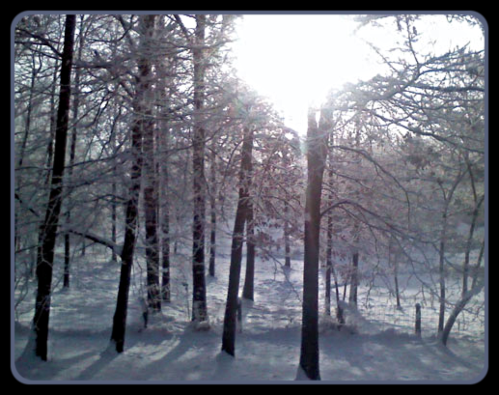 2019 12 18 winter sun