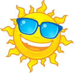 Sun Shades