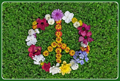 floral peace sign