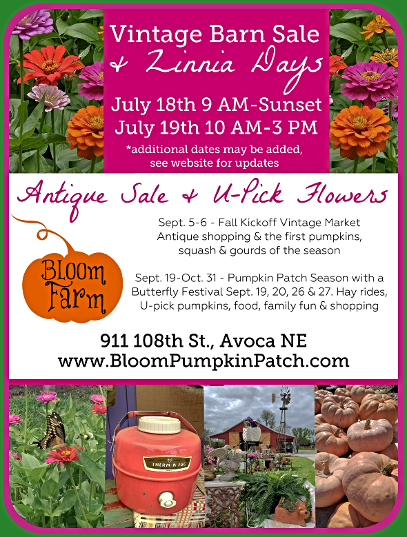 2026 07 08 AVO BWYP Zinnia Days