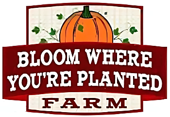 LOGO BLOOM WHERE YOURE PLANTED FARM