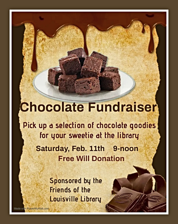 2023 02 08 LSV Library Chocolate Fundraiser