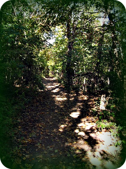 2011-09-30 Path_at_Lewis__Clark_Center