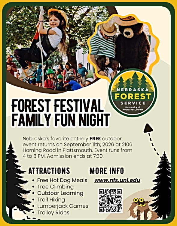 2026 09 01 PLT LIB Forest Festival Family Fun Night