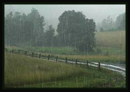 2018 08 22 rainy path