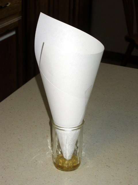 Gnat_trap