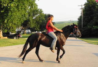 2013-07-06 horse