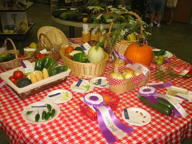 08-05-09_Cass_Co._Fair_002