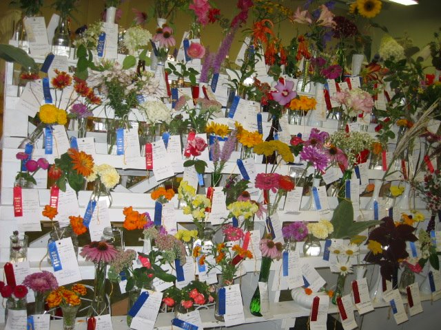 08-05-09_Cass_Co._Fair_008