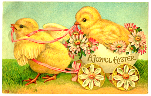 2018 03 28 Easter Chicks