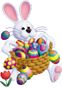 bunny17