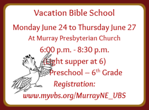 2019 05 29 MRY PRESBYTERIAN VBS ROAR x 1 1