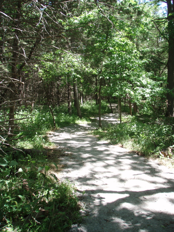 Nice_walking_path