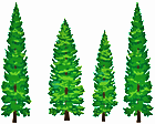2017 12 06 Evergreens