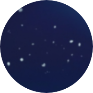 NEW MOON